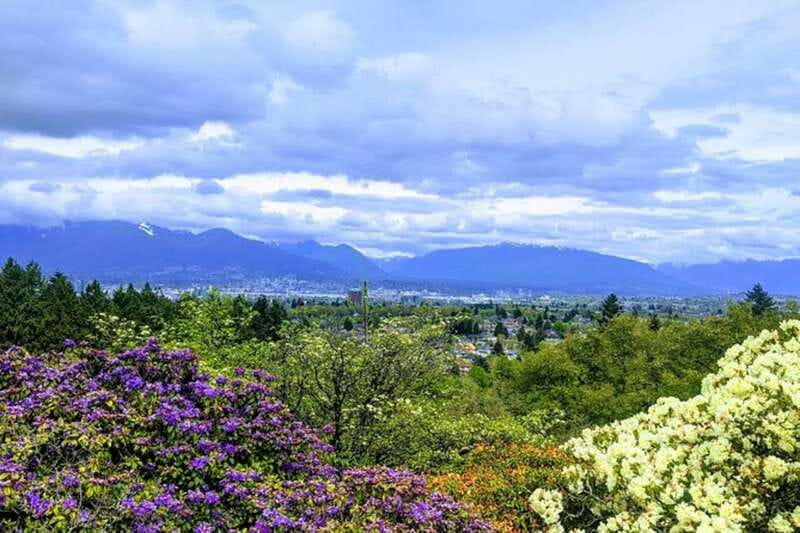 Four Hours of Vancouver Bliss: Unforgettable Memories Await - Discover Vancouver’s Vibrant Chinatown and Its Cultural Riches