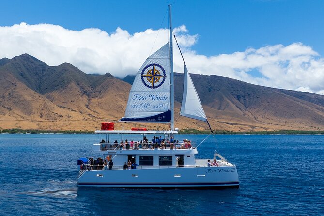 Four Winds Maui Afternoon Snorkel Tour to Coral Gardens - The Snorkeling Destination: Coral Gardens and Molokini