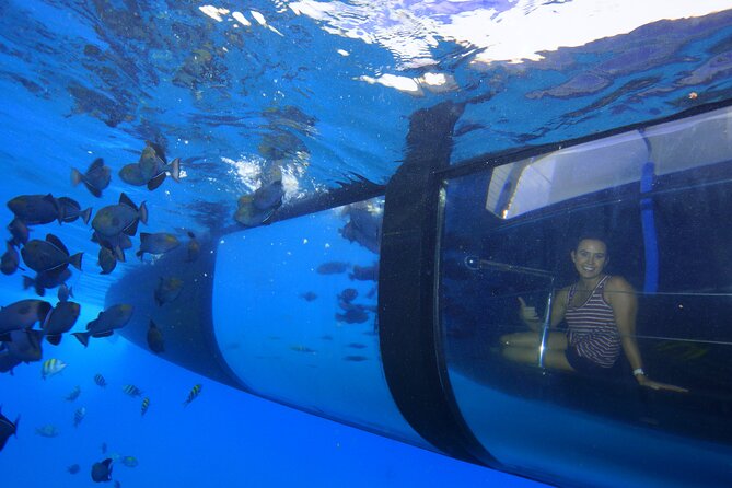 Four Winds Maui Afternoon Snorkel Tour to Coral Gardens - Group Size and Tour Logistics