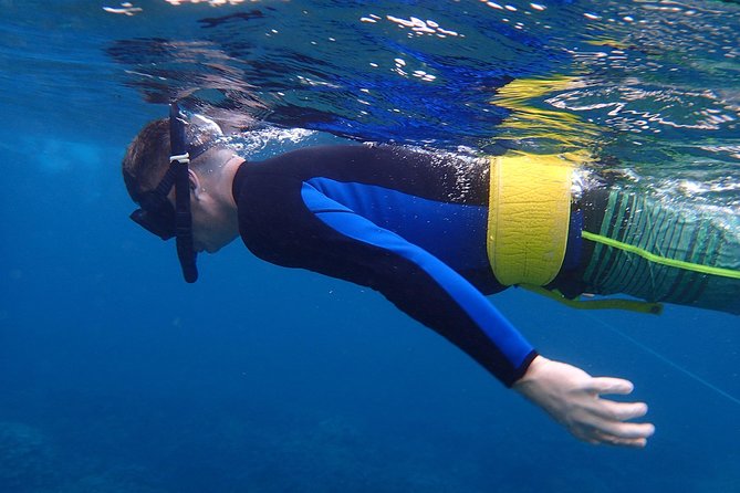 Four Winds Molokini Snorkeling Tour from Maalaea Harbor - Starting at Maalaea Harbor with a 7:00 am Departure