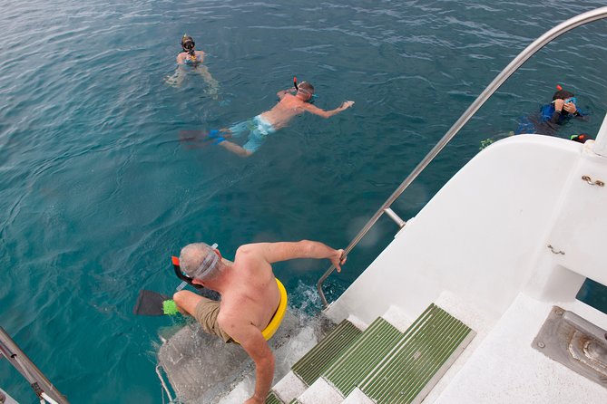 Four Winds Molokini Snorkeling Tour from Maalaea Harbor - Family Friendly Features and Additional Activities