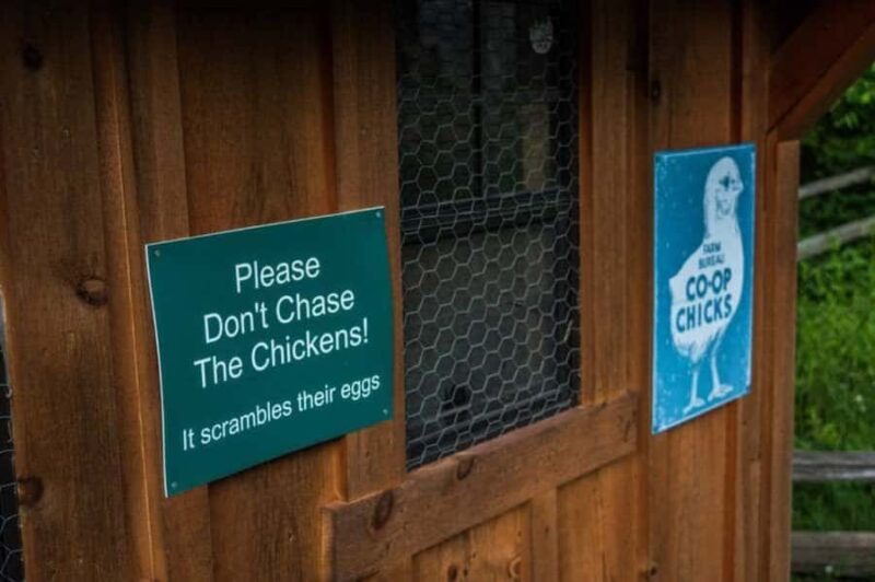 Foxfire Mountain: Hiking & Swinging Bridge Family Adventure - Practical Info and Accessibility