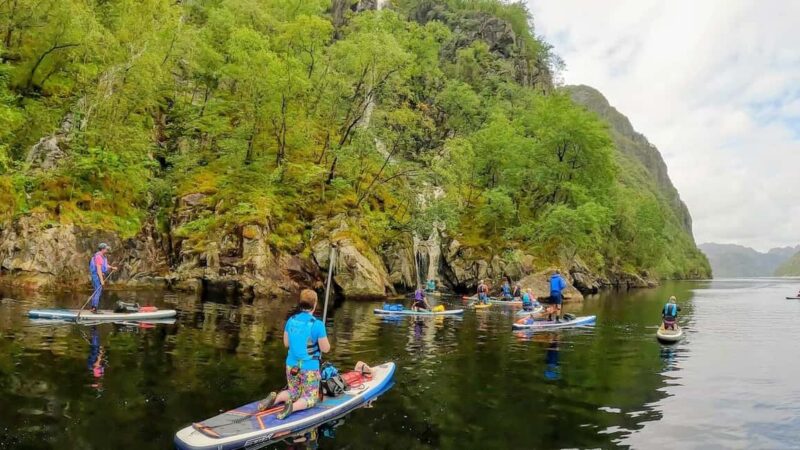 Frafjord: Guided Kayak or SUP Tour with Equipment - End Your Paddle with a Refreshing Sea Plunge or Relaxation