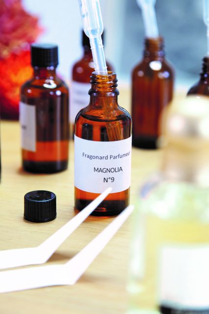 Fragonard Paris: Mini Perfume Workshop in Chinese - The Guided Tour and Cultural Insights