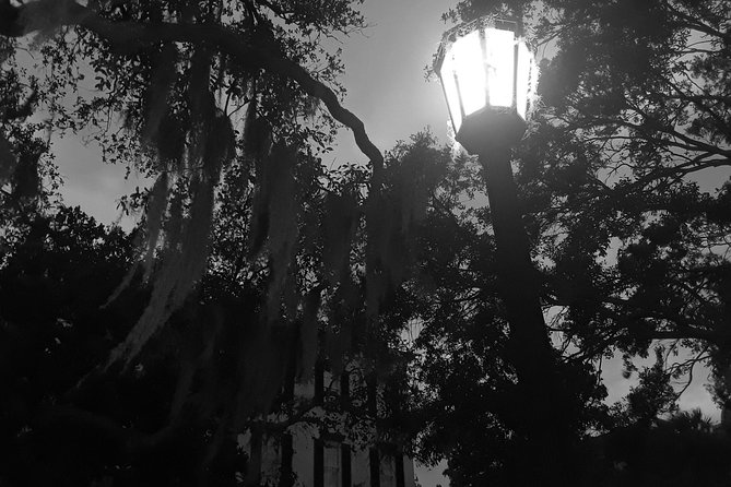 Fraidy Cat: The Family Fun Ghost Tour of Savannah - Oglethorpe Square: Active Haunting and City Secrets