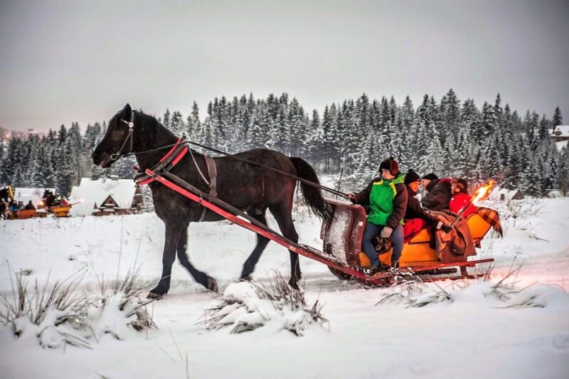 Fram Kraków: Tatra Mountain Sleigh Ride in Zakopane - Key Points