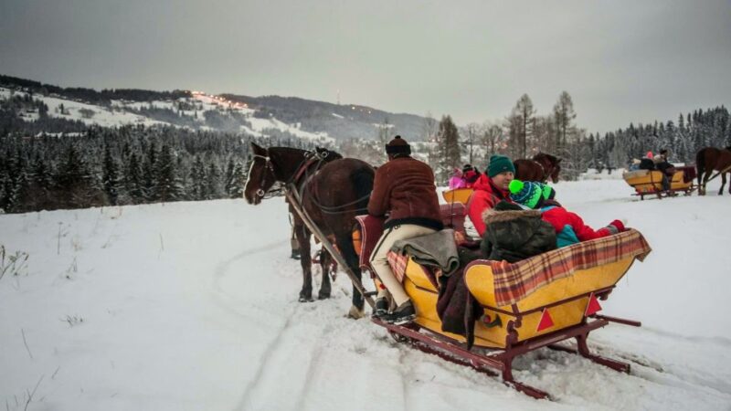Fram Kraków: Tatra Mountain Sleigh Ride in Zakopane - Comparing This Tour to Similar Experiences in Zakopane