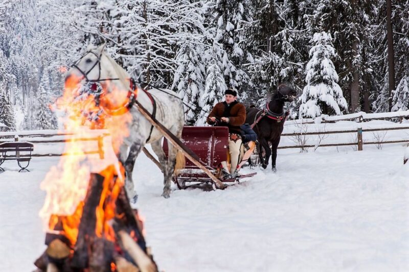 Fram Kraków: Tatra Mountain Sleigh Ride in Zakopane - The Sum Up: A Cozy Winter Ride with Authentic Charm in Zakopane