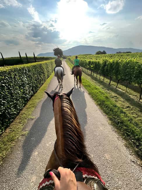 Franciacorta: Horseback Ride through Vineyards & Villages - Logistics and Group Size for a Personalized Experience
