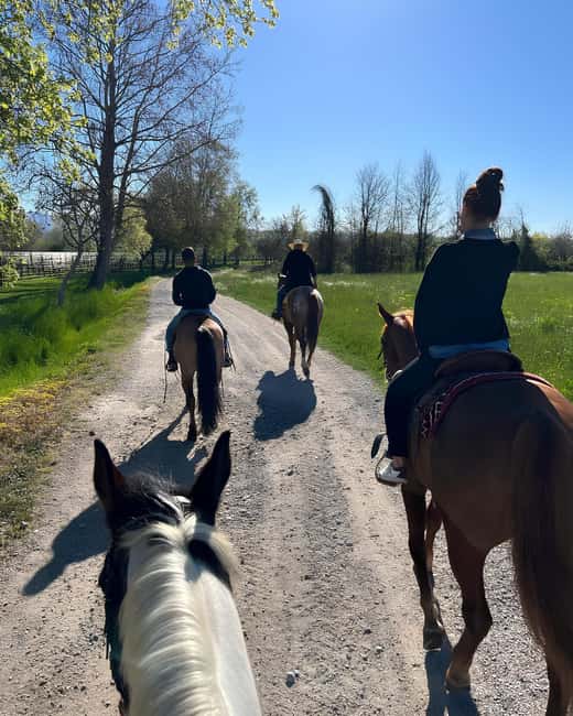 Franciacorta: Horseback Ride through Vineyards & Villages - The Experience Provider: Holidoit