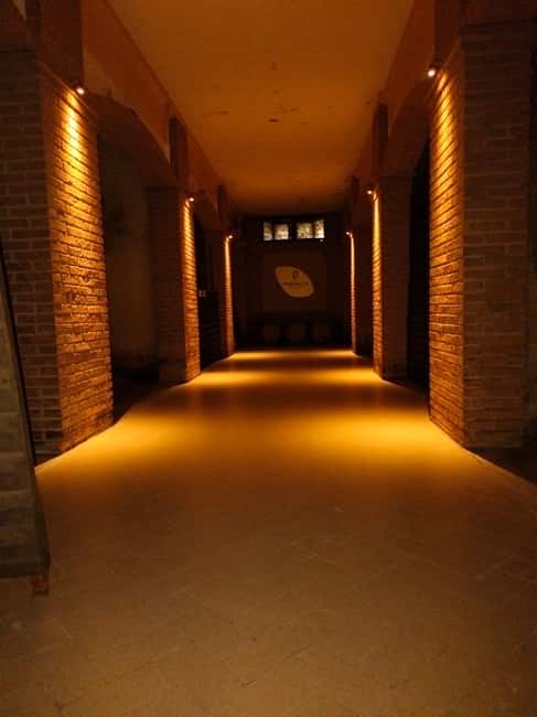 Franciacorta: Vineyard, Winery, and Edea To Tasting - Key Points