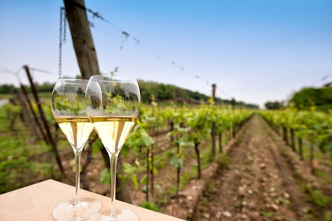 Franciacorta Wine Tasting Tour from Milan with Lake Iseo Cruise - Discover the Milan to Lake Iseo and Franciacorta Experience for $118.53
