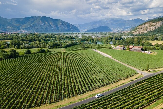 Franciacorta Wine Tasting Tour from Milan with Lake Iseo Cruise - Franciacorta Wine Tasting: Champagne-Style Elegance
