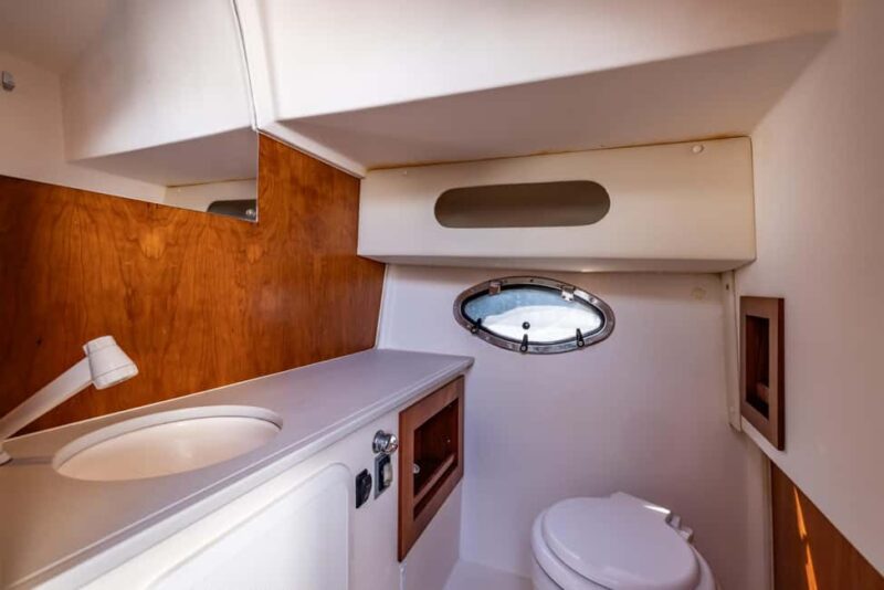 Frankfurt am Main: Private boat tour for up to 10 guests with skyline view - Onboard Amenities: Comfort and Entertainment