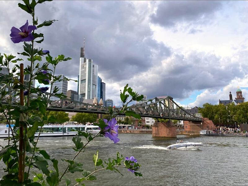 Frankfurt: Discover the heart of Frankfurt - a city tour in Russian - Key Points