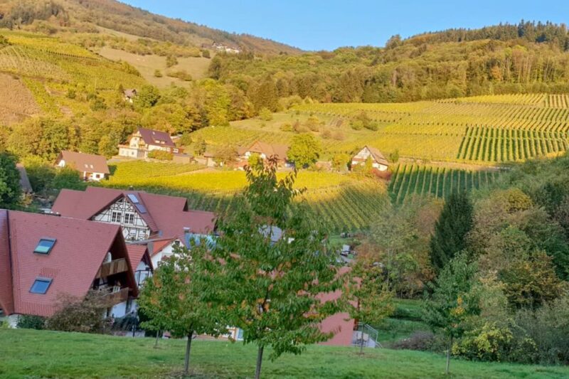 Frankfurt: Full-Day Baden-Baden and Strasbourg Trip - Strasbourgs Majestic Cathedral and Historic Streets