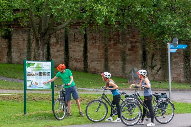 Frankfurt: Full-Day Bicycle or E-Bike Rental - Physical Requirements and Accessibility