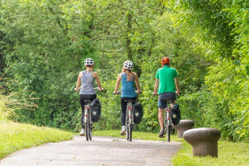 Frankfurt: Full-Day Bicycle or E-Bike Rental - Why Choose This Bike Rental in Frankfurt?