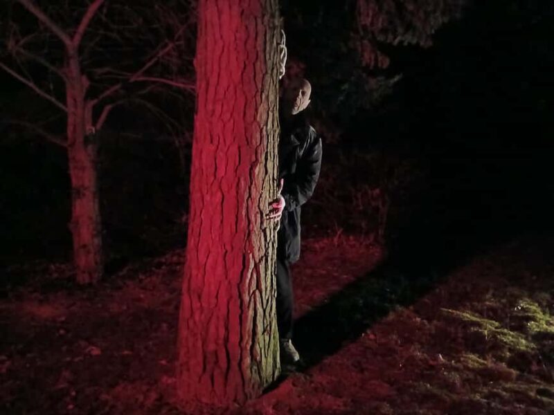 Frankfurt: Horror theater with city tour "Nosferatu's Resurrection" - Key Points