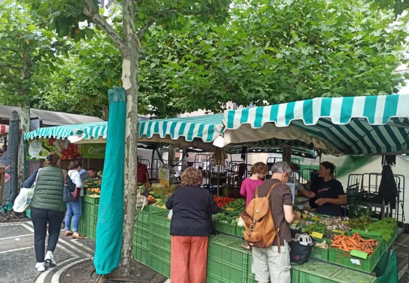 Frankfurt: Old Town Walking Tour with Local Guide - Key Points