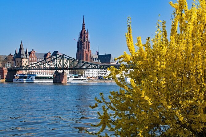Frankfurt Private Walking Tour With A Professional Guide - Practicalities and Logistics of the Tour