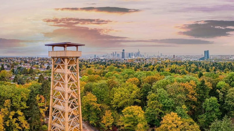 Frankfurt: RheinMainCard - Unlimited RMV Transportation - What You Receive: The Print@Home Ticket and Transportation Coverage