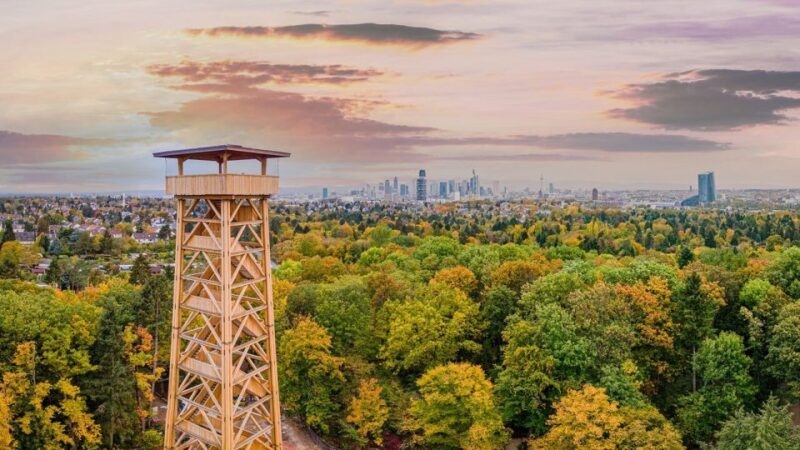 Frankfurt: RheinMainCard - Unlimited RMV Transportation - Comparing the RheinMainCard to Other Options