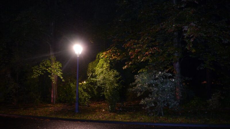 Frankfurt: The Black Death Tour - Discover the Black Death Tour in Frankfurt for $16