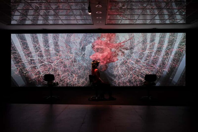 Frankfurter Kunstverein: Your Ticket to Art - Exhibiting the "Anatomy of Fragility" Collection