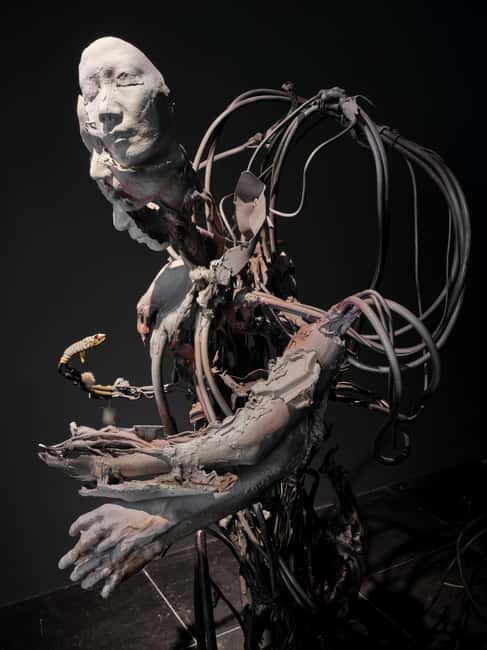 Frankfurter Kunstverein: Your Ticket to Art - Interactive Content and Additional Materials