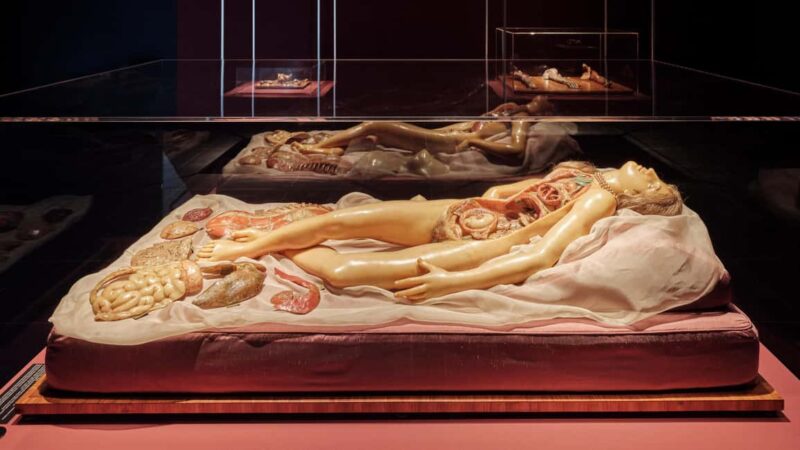 Frankfurter Kunstverein: Your Ticket to Art - How the Tour Compares to Other Frankfurt Museums