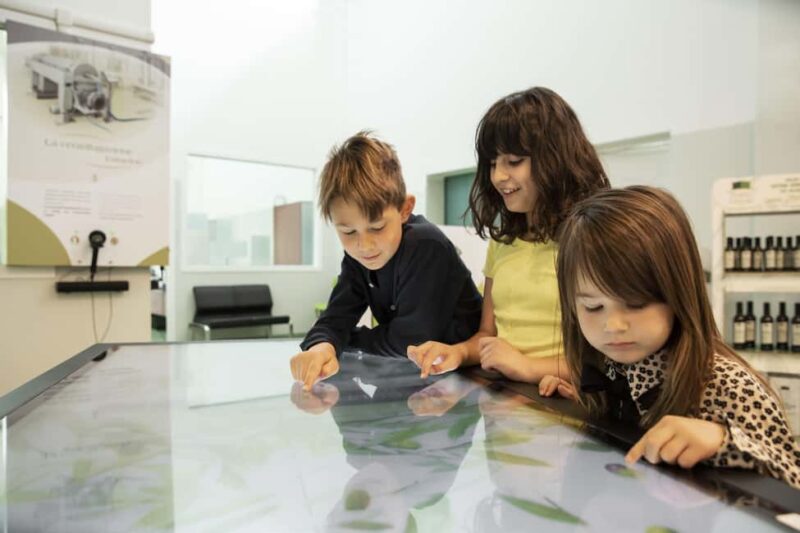 Frantoio di San Gimignano: tour of the oil mill and tasting - Virtual Reality and Multimedia Features