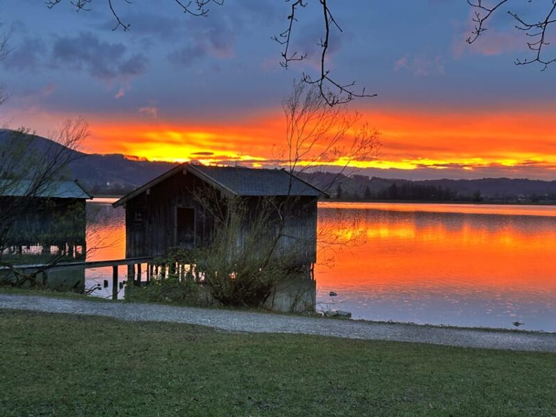 Franz Marc Museum and Sauna Experience - The Value Proposition and Limitations