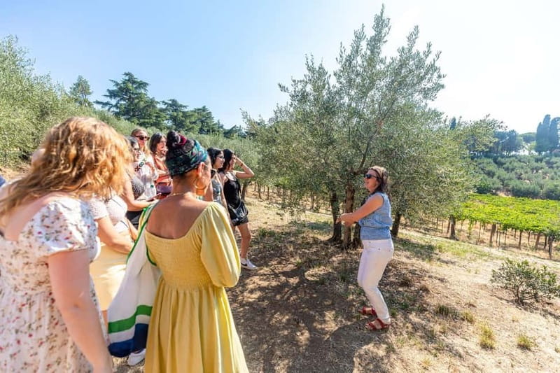 Frascati: Half Day Wine Tour - Pacing, Timing, and Flexibility