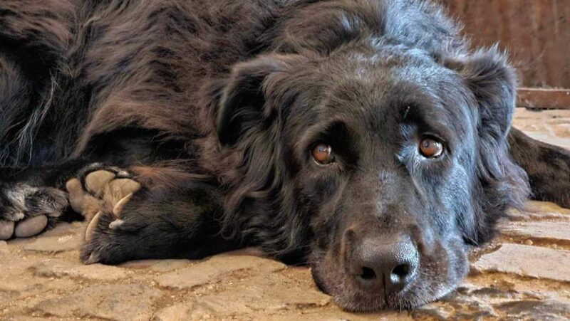 Frascati: Half Day Wine Tour - Why Choose This Frascati Half-Day Tour?