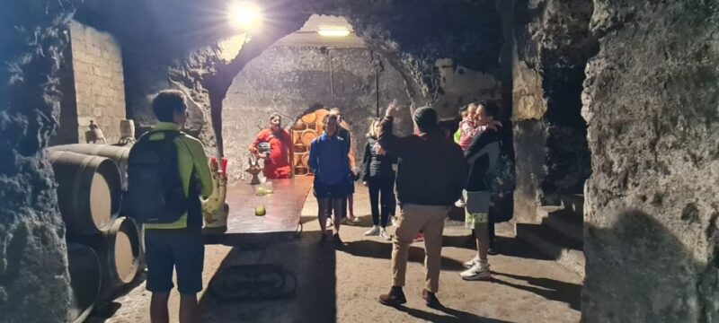 Frascati: Tour in E-Bike with Wine Tasting - Climbing to Monte Tusculum and Its Archaeological Park