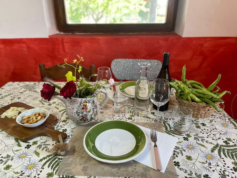 Frascati: Vineyard Wine Tasting Tour with Snacks - Key Points