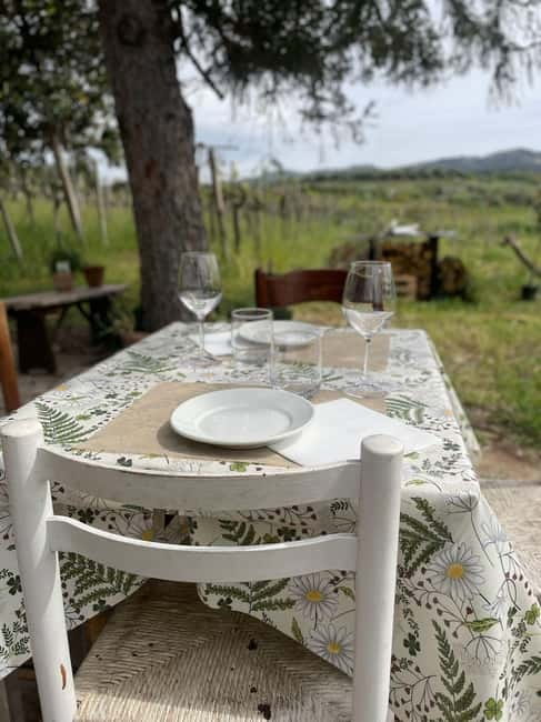 Frascati: Vineyard Wine Tasting Tour with Snacks - End with Coffee and a Local Liquor