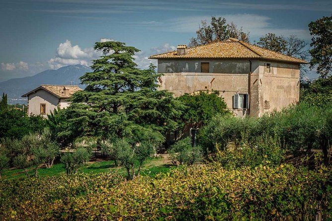 Frascati Wine Tasting Tour: The Flavors of the Roman Countryside - From the Old Town to the Vineyard: The Tour Itinerary