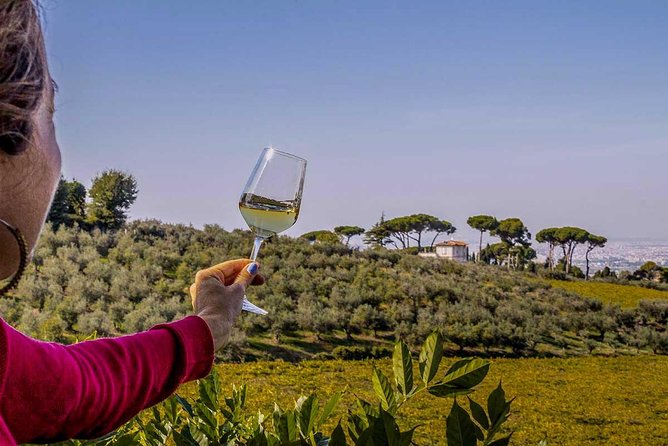 Frascati Wine Tasting Tour: The Flavors of the Roman Countryside - Practical Details and Group Size