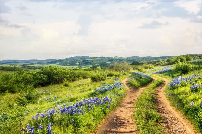 Fredericksburg Luxury Shopping and History and Culture Tour - Exploring Fredericksburg’s Historic Landmarks