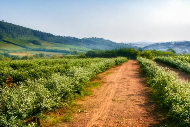 Fredericksburg Luxury Shopping and History and Culture Tour - Final Thoughts on the Fredericksburg Cultural Tour