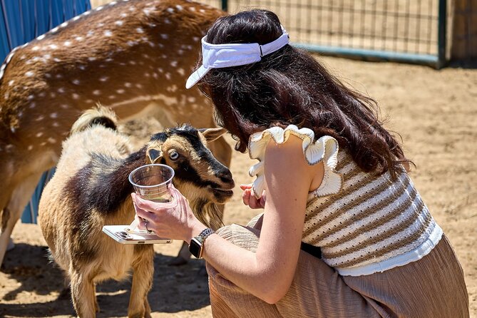 Fredericksburg Safari Tour With Wine Tasting - Guided Tours and Knowledgeable Guides