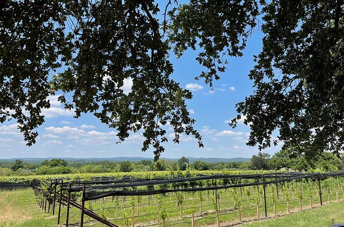 Fredericksburg Texas Area Wine Tastings: 3 Wineries and Lunch - Transportation and Accessibility