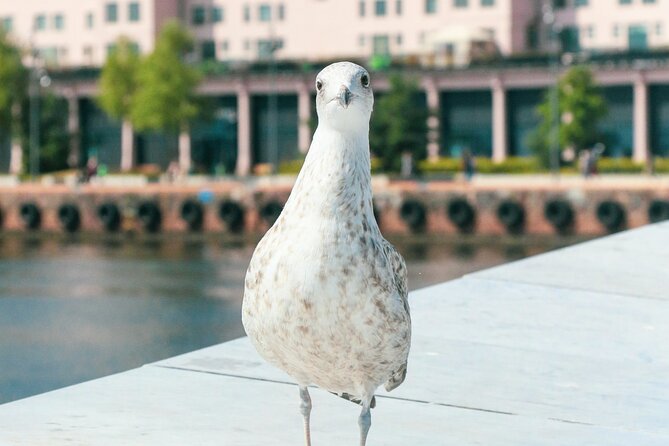 Free City Walking Tour in Oslo - Akershus Castle and Nobel Stories