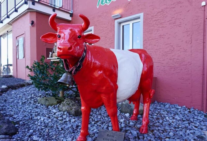 FREE PHOTO in Zurich walk cable car panoramic lake Zurich - Free Time and Optional Lunch in Zurich
