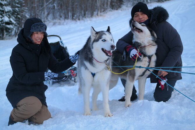 Free Pickup/Drop off: Alaskan Husky Dog Sledding with Free Photo - Meeting Point and Transportation Convenience