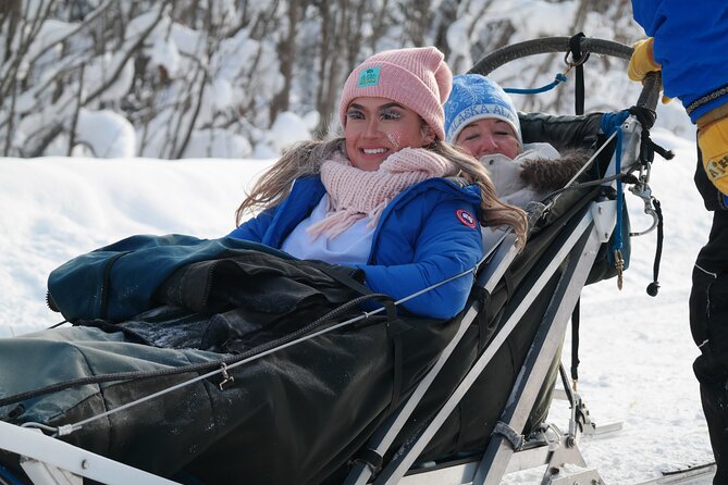 Free Pickup/Drop off: Alaskan Husky Dog Sledding with Free Photo - Learning the Art of Dog Mushing