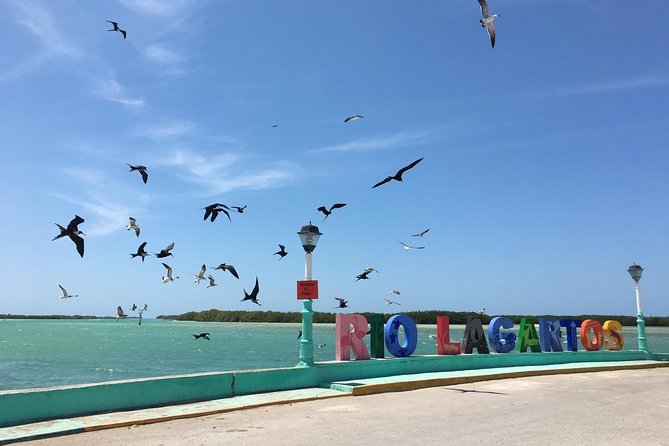 Free Yourself at Las Coloradas Natural Pink Lake! Tour from Playa Del Carmen - Lunch and Refreshments During the Tour