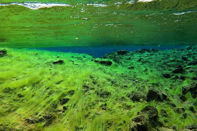 Freedive Silfra Half Day Tour - What the Freediving Experience Involves